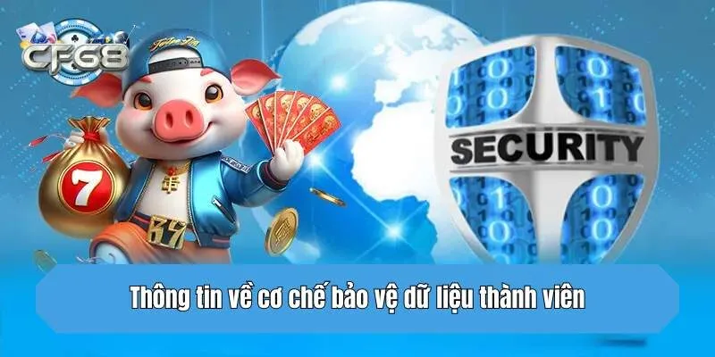 Thông tin về cơ chế bảo vệ dữ liệu thành viên