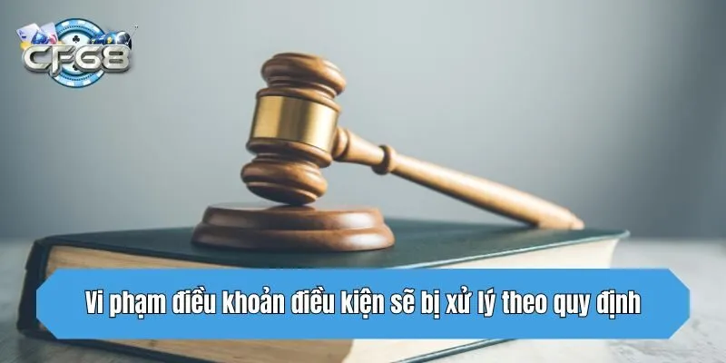 Vi phạm điều khoản điều kiện sẽ bị xử lý theo quy định